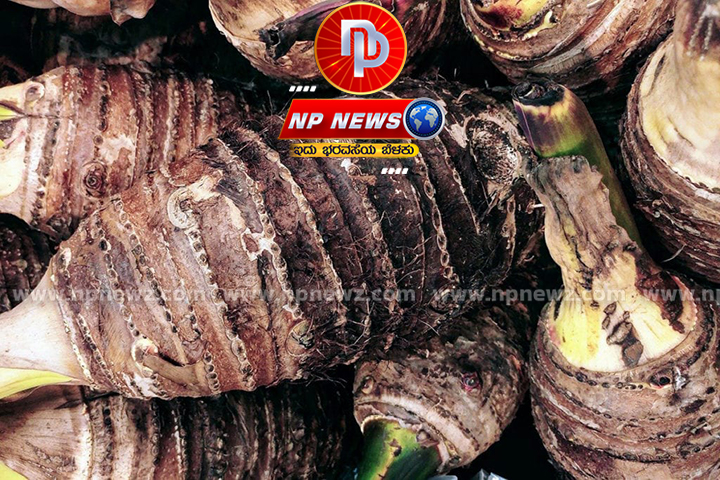 taro root22